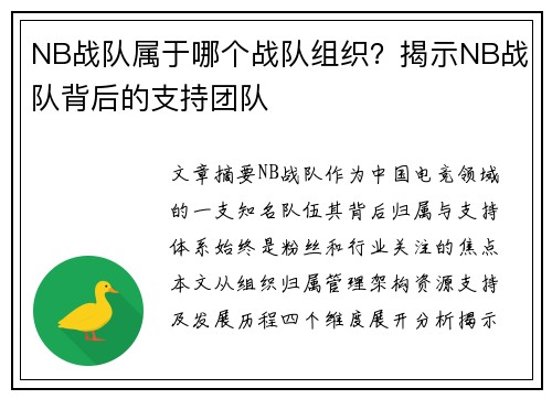 NB战队属于哪个战队组织？揭示NB战队背后的支持团队