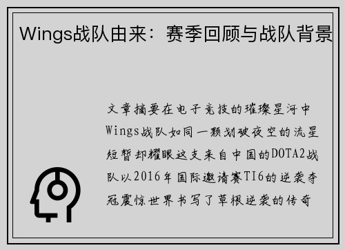 Wings战队由来：赛季回顾与战队背景