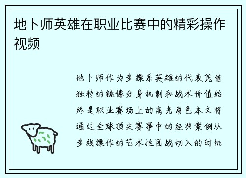 地卜师英雄在职业比赛中的精彩操作视频